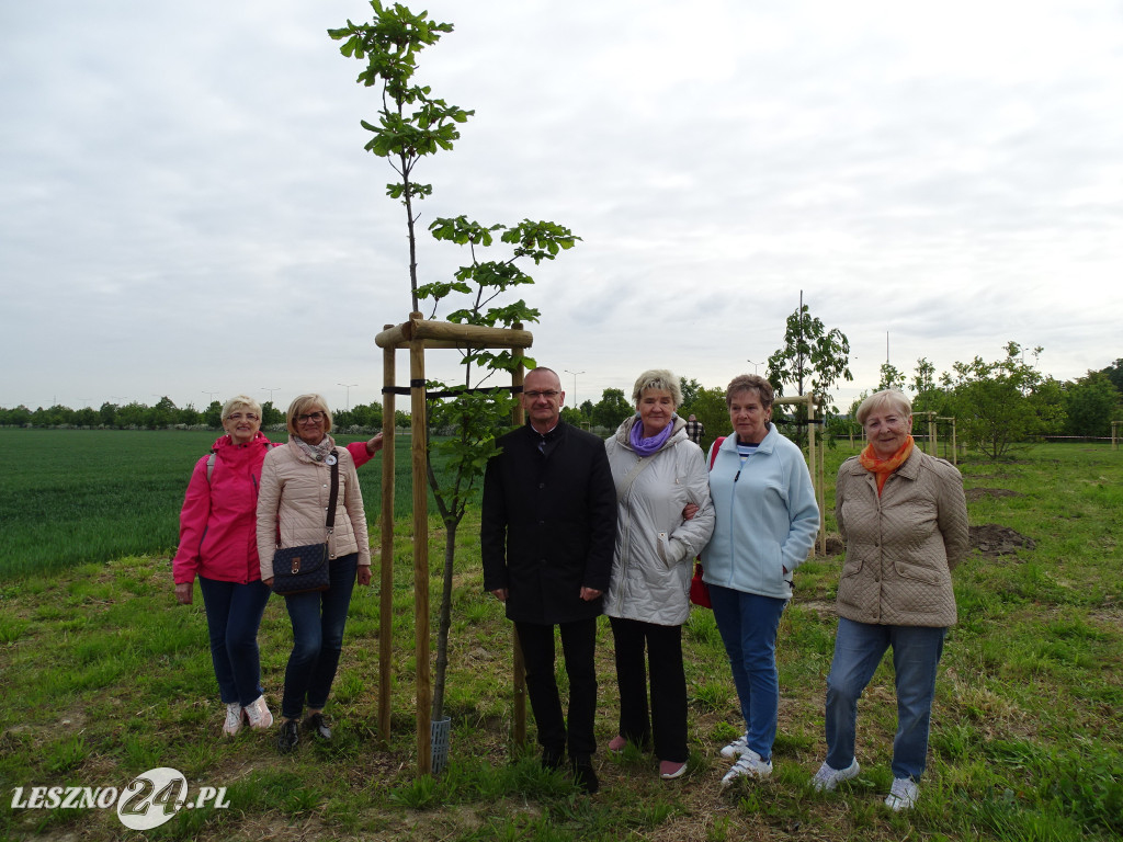 25 kasztanów posadzono w Lesznie