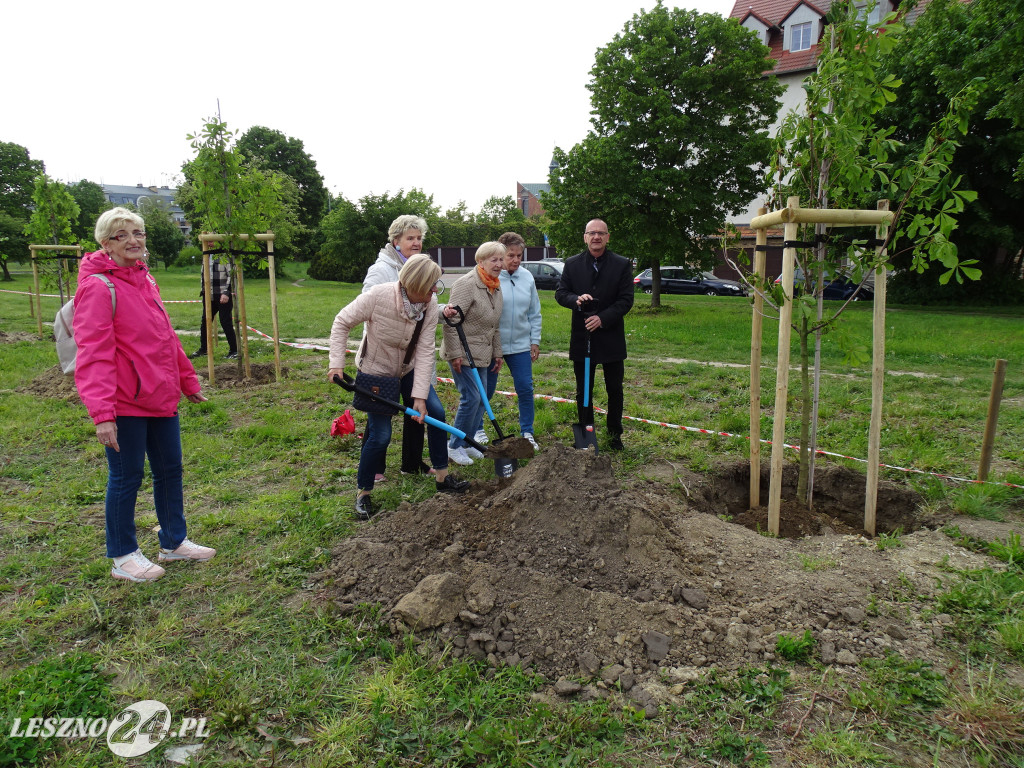 25 kasztanów posadzono w Lesznie