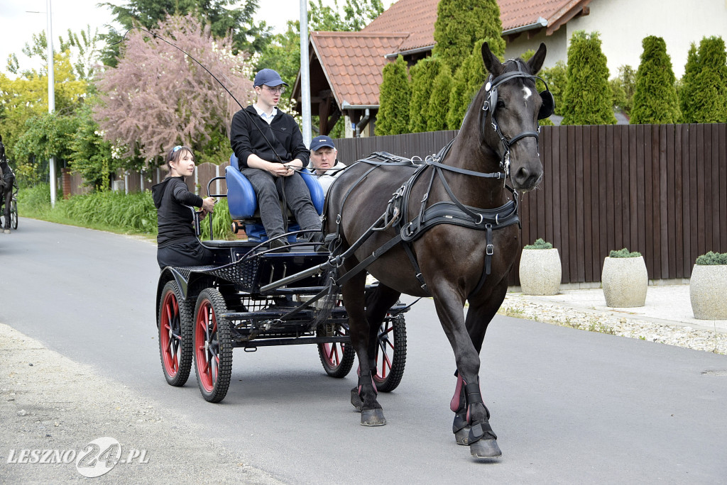 Zawody w Powożeniu w Wilkowicach 2025