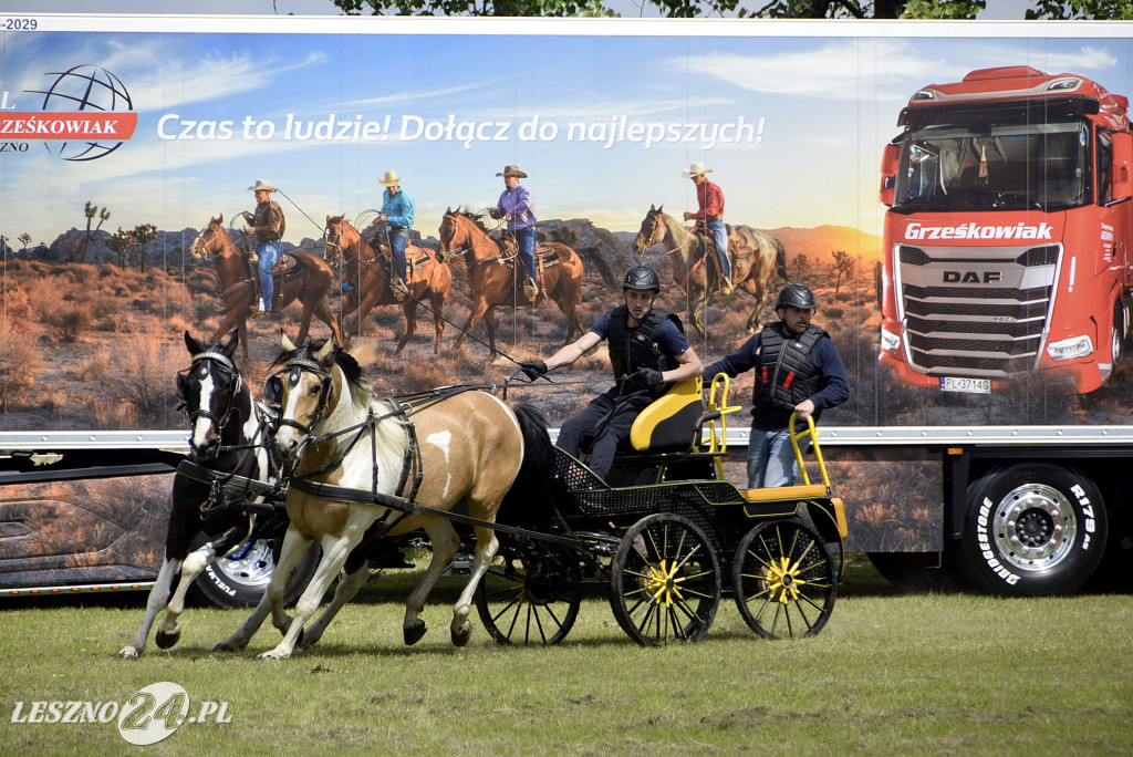 Zawody w Powożeniu w Wilkowicach 2025