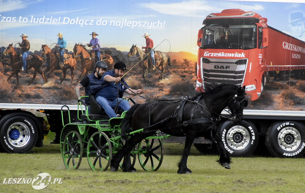 Zawody w Powożeniu w Wilkowicach 2025