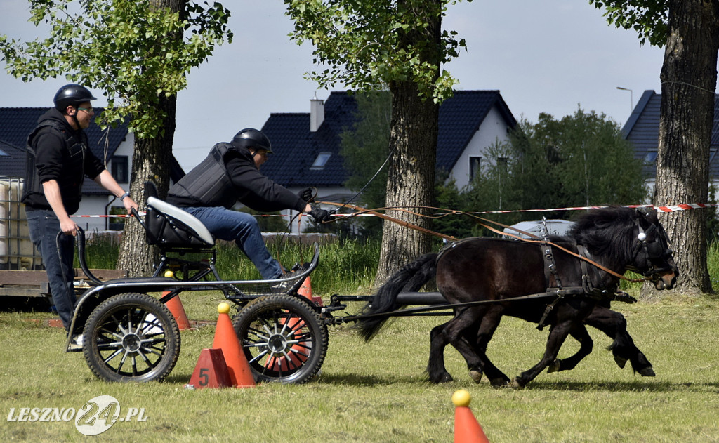 Zawody w Powożeniu w Wilkowicach 2025
