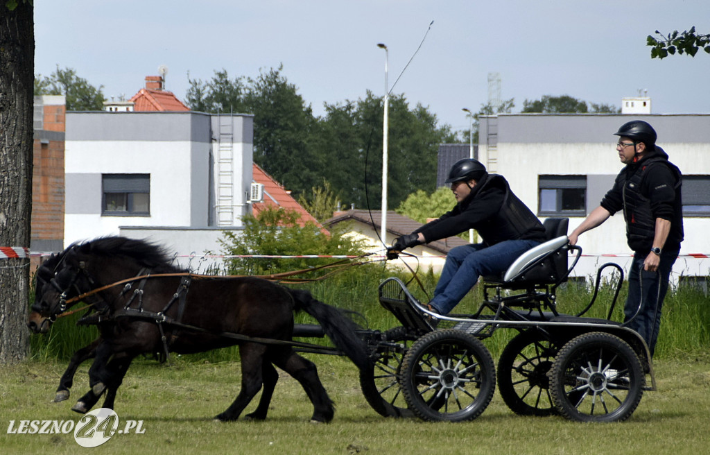 Zawody w Powożeniu w Wilkowicach 2025
