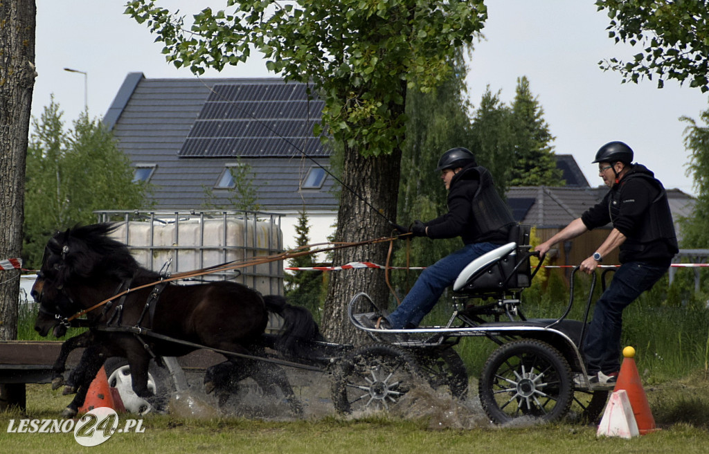 Zawody w Powożeniu w Wilkowicach 2025