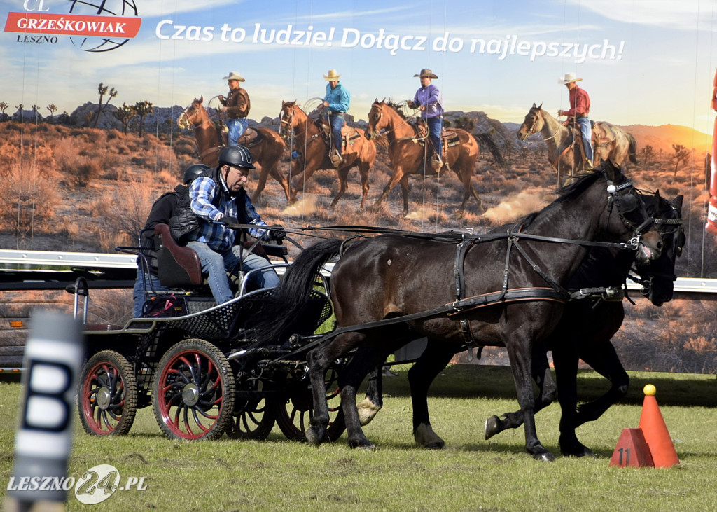 Zawody w Powożeniu w Wilkowicach 2025