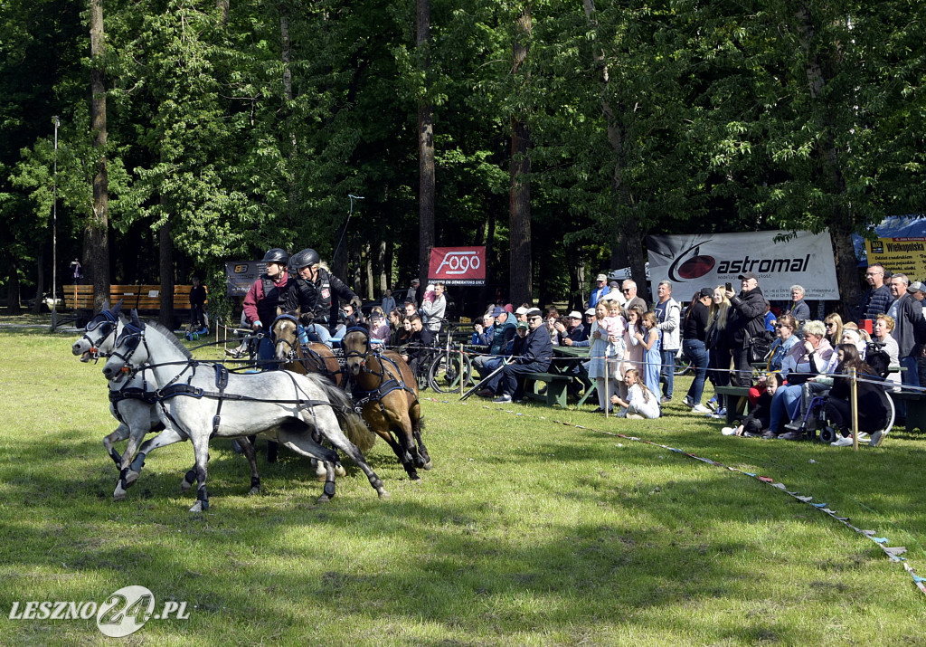 Zawody w Powożeniu w Wilkowicach 2025