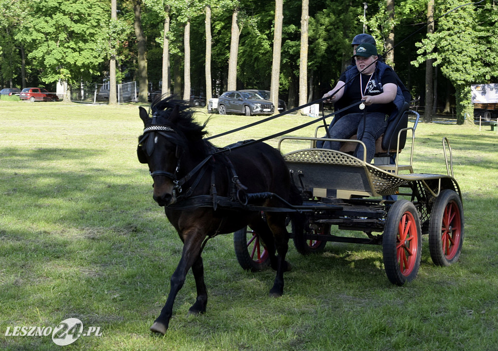 Zawody w Powożeniu w Wilkowicach 2025