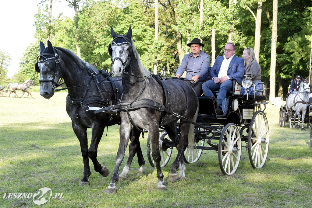 Zawody w Powożeniu w Wilkowicach 2025