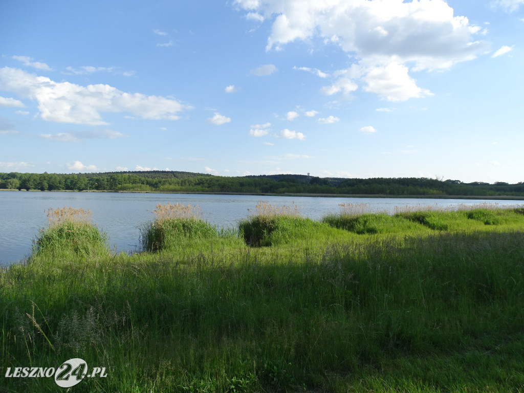 Plaża nad jeziorem pięknieje