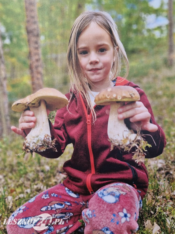 Festyn w Przedszkolu Miejskim nr 19