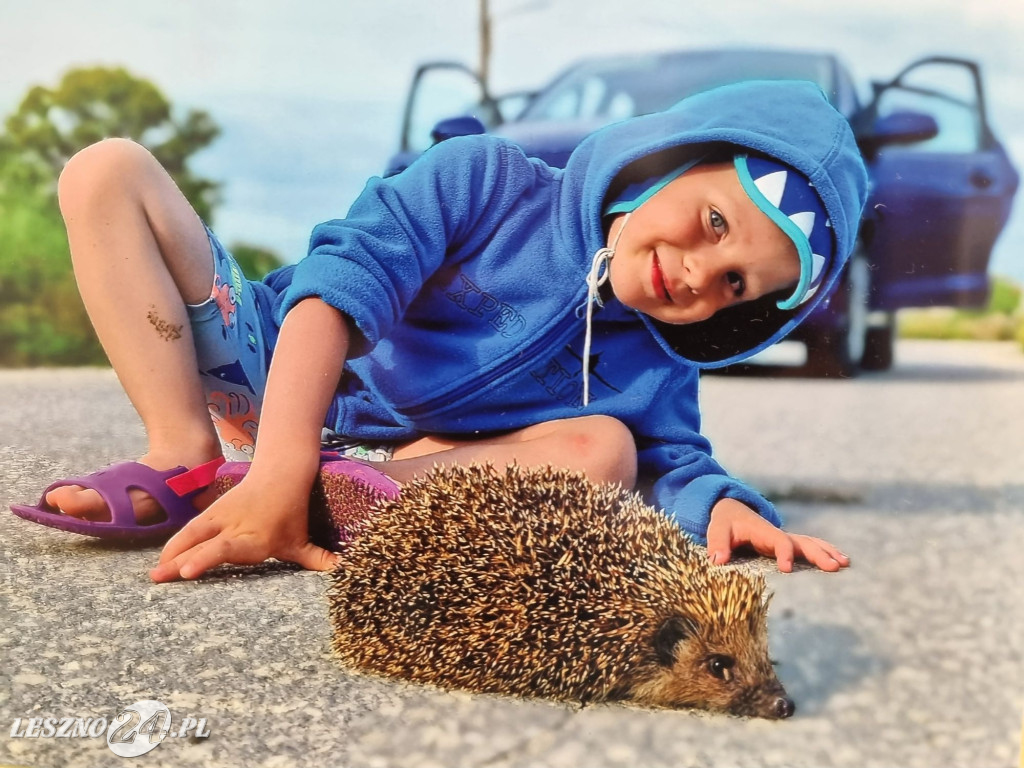 Festyn w Przedszkolu Miejskim nr 19