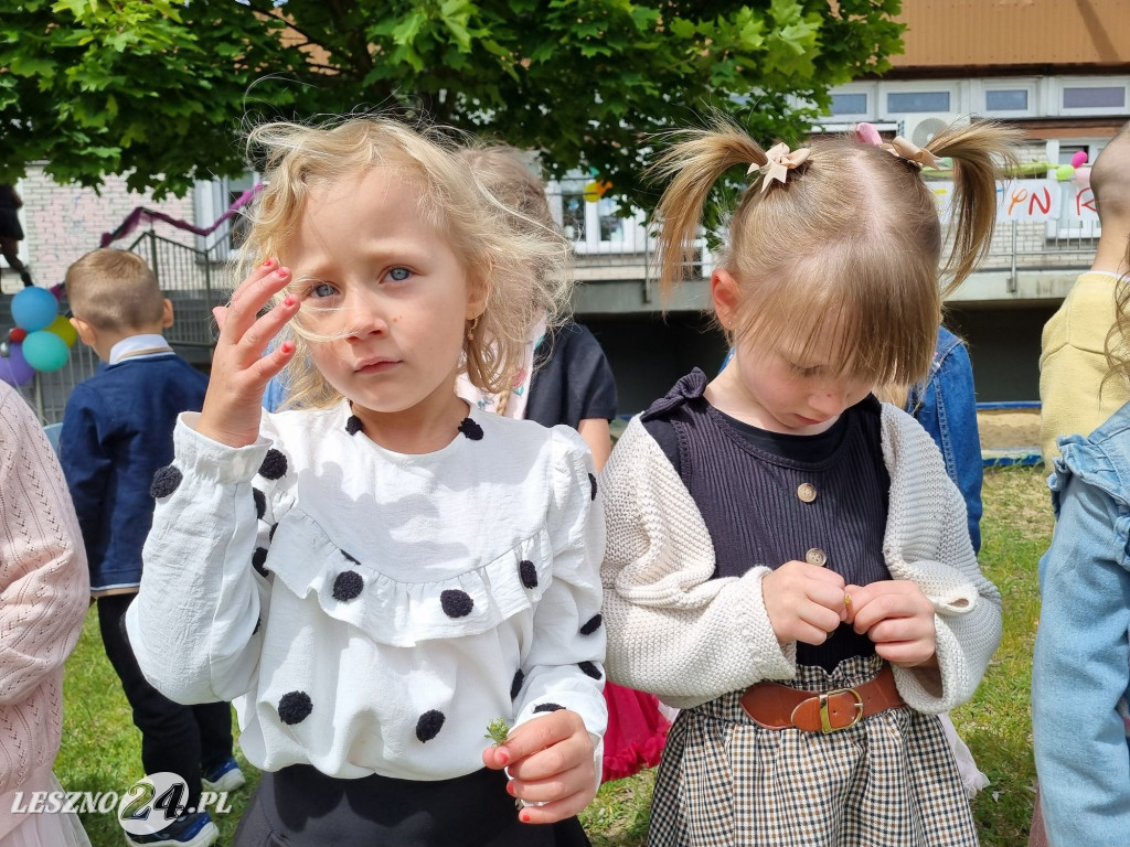 Festyn w Przedszkolu Miejskim nr 19