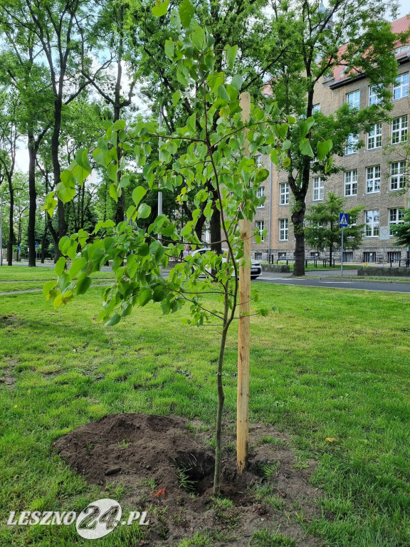 Piknik Ekologiczny w Lesznie