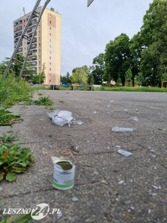 Zaśmiecone boisko przy al. Sułkowskiego w Lesznie