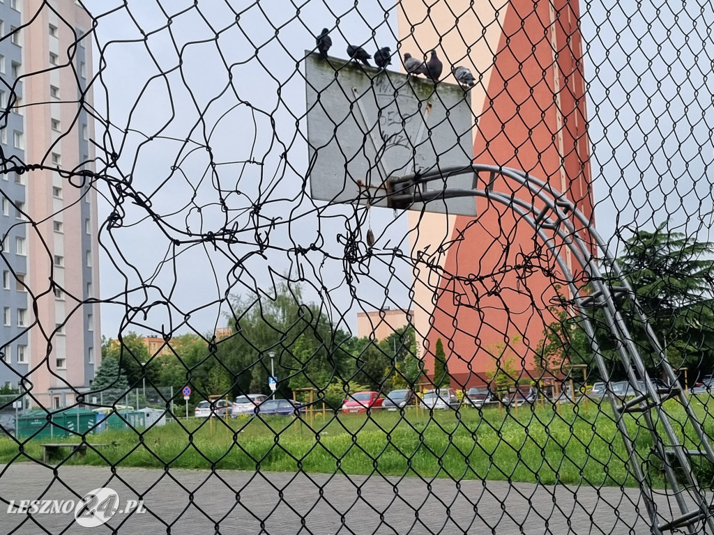 Zaśmiecone boisko przy al. Sułkowskiego w Lesznie