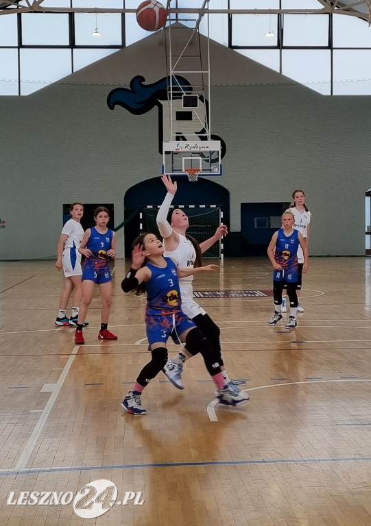 Młodziczki U12 Rycerzy Rydzyna ze złotem