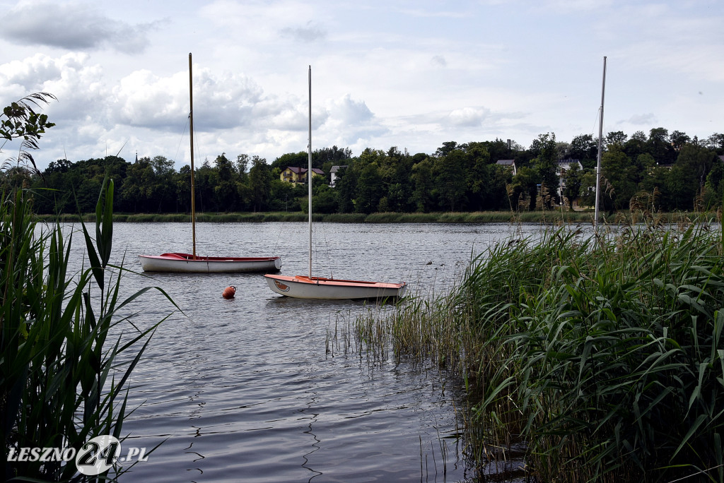 Nowości na Letnisku i Stanisławówce w Osiecznej