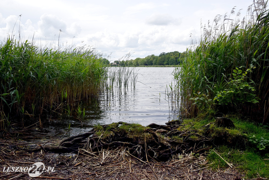 Nowości na Letnisku i Stanisławówce w Osiecznej