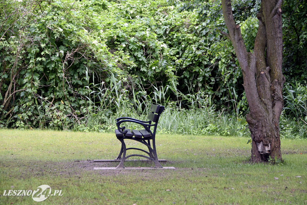 Nowości na Letnisku i Stanisławówce w Osiecznej