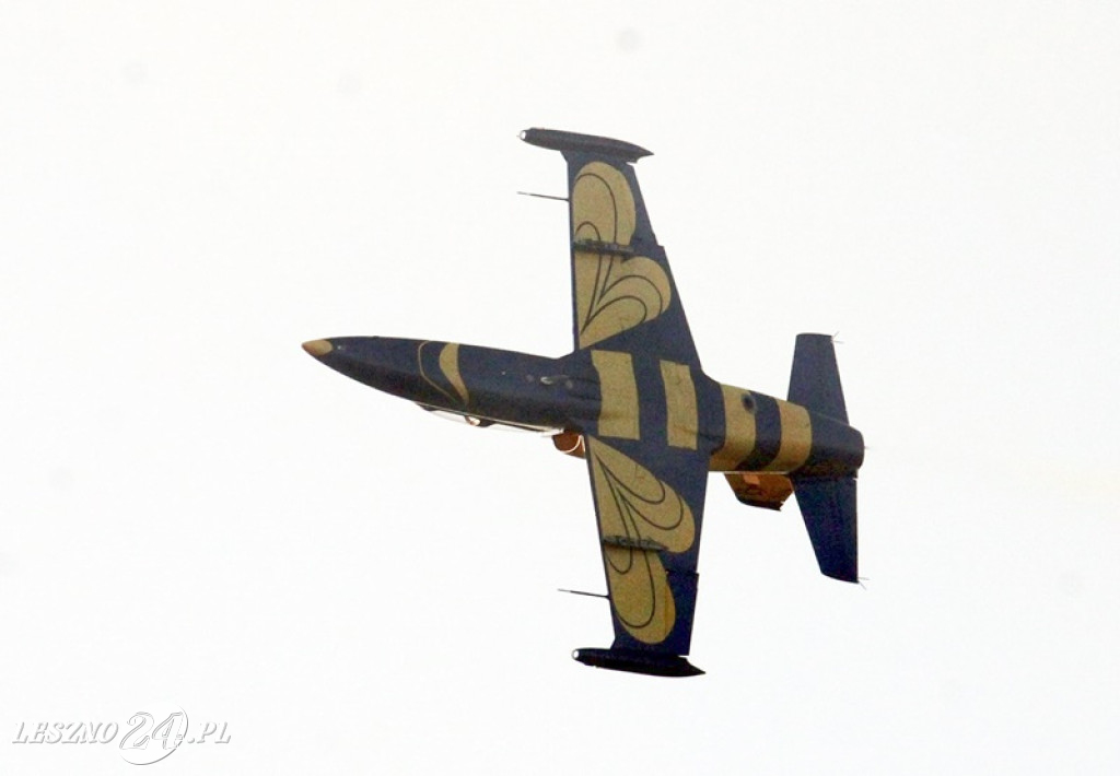 Antidotum AirShow Leszno 2025 (część 1)