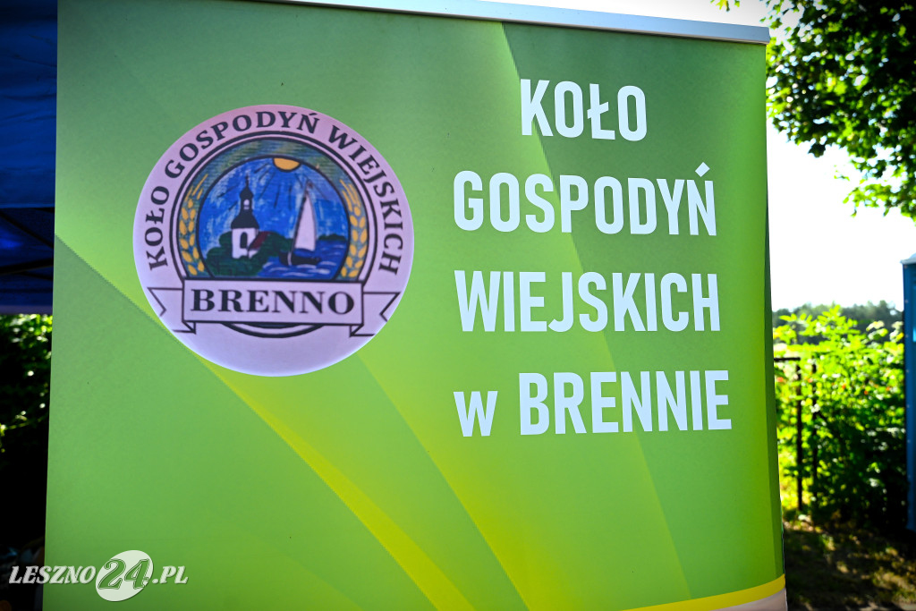 Festyn Wracamy do korzeni w Pawłowicach