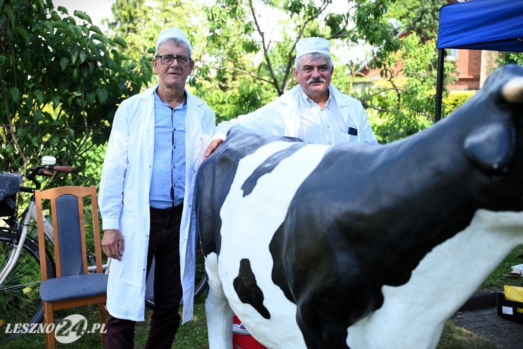 Festyn Wracamy do korzeni w Pawłowicach