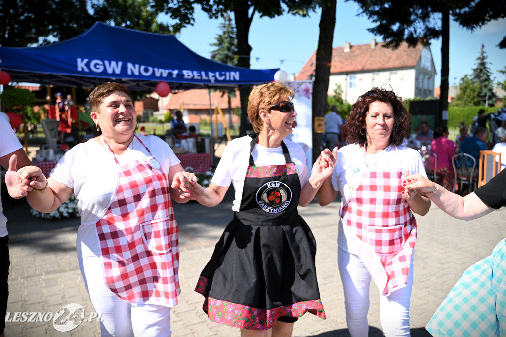 Festyn Wracamy do korzeni w Pawłowicach