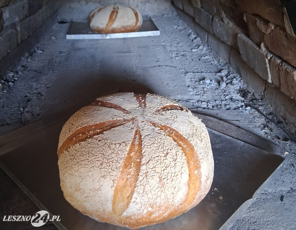 Dzień Chleba pod Wiatrakiem