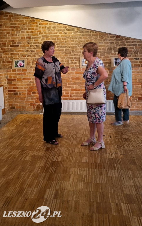 Wystawa zdjęć Heleny Sierpowskiej