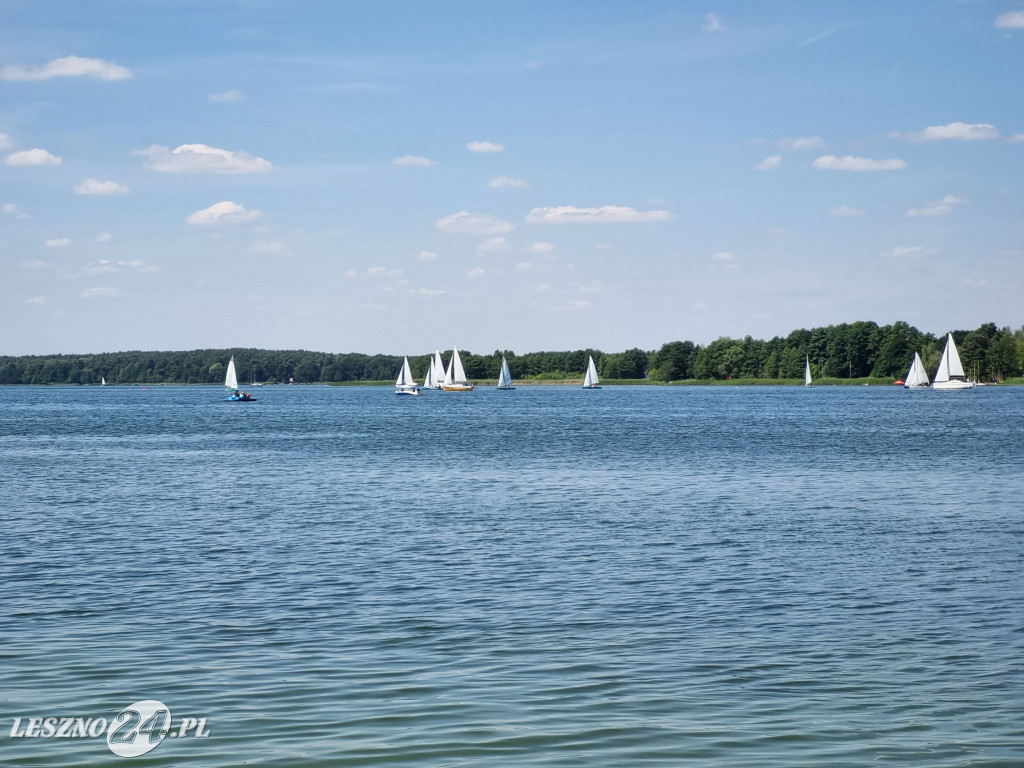 19. Grand Prix Wielkopokski w pływaniu w Boszkowie