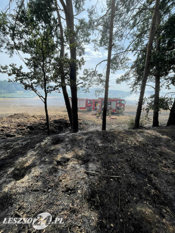 Pożar zboża w Kleszczewie