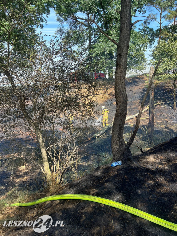 Pożar zboża w Kleszczewie