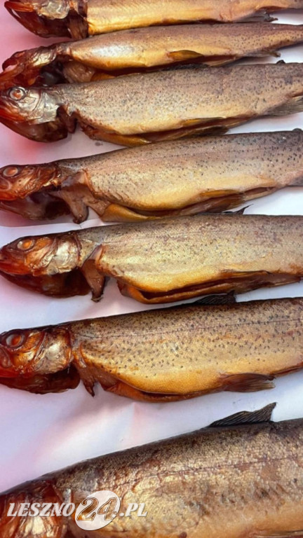 Sumy afrykańskie pływają w Klonówcu