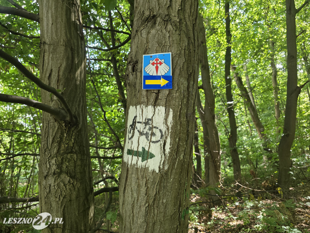 Droga św. Jakuba Osieczna-Leszno