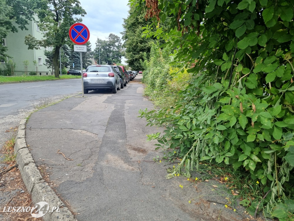 Dziurawa i zachwaszona ulica Kasprowicza w Lesznie