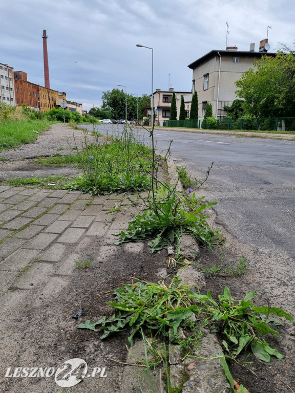 Dziurawa i zachwaszona ulica Kasprowicza w Lesznie