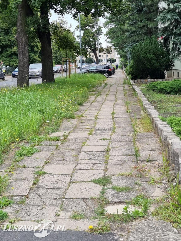 Dziurawa i zachwaszona ulica Kasprowicza w Lesznie