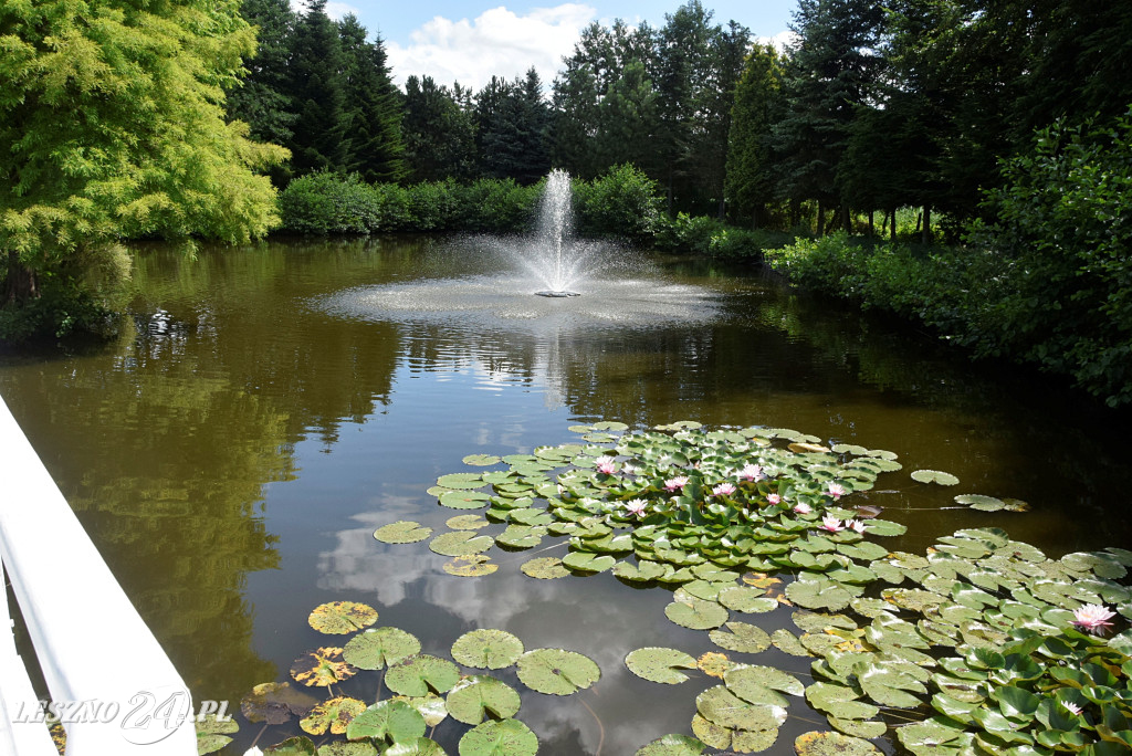 Niezwykły park we Włoszakowicach