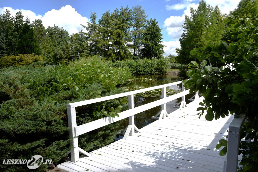 Niezwykły park we Włoszakowicach