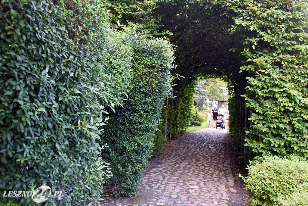 Niezwykły park we Włoszakowicach