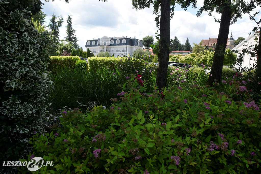 Niezwykły park we Włoszakowicach