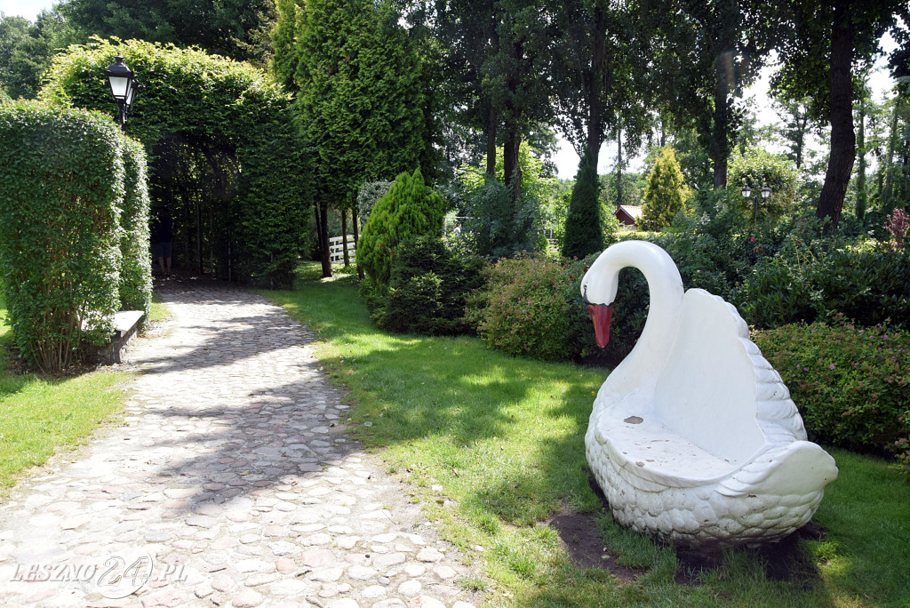 Niezwykły park we Włoszakowicach