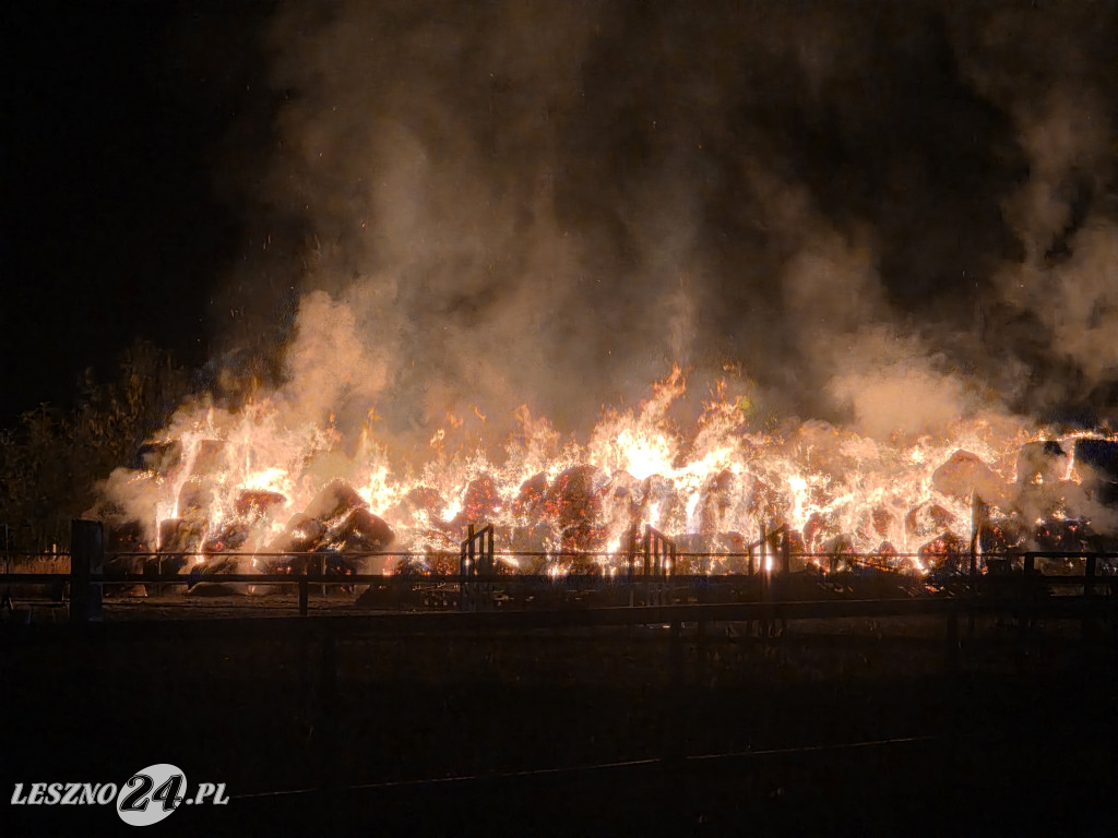 Nocny pożar w Lesznie