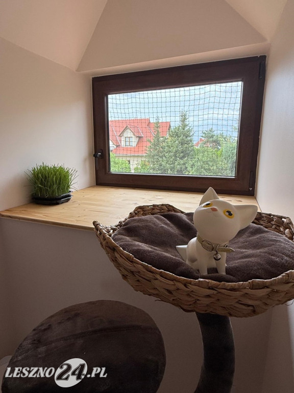 Złoty Strych Koci Hotel w Lesznie