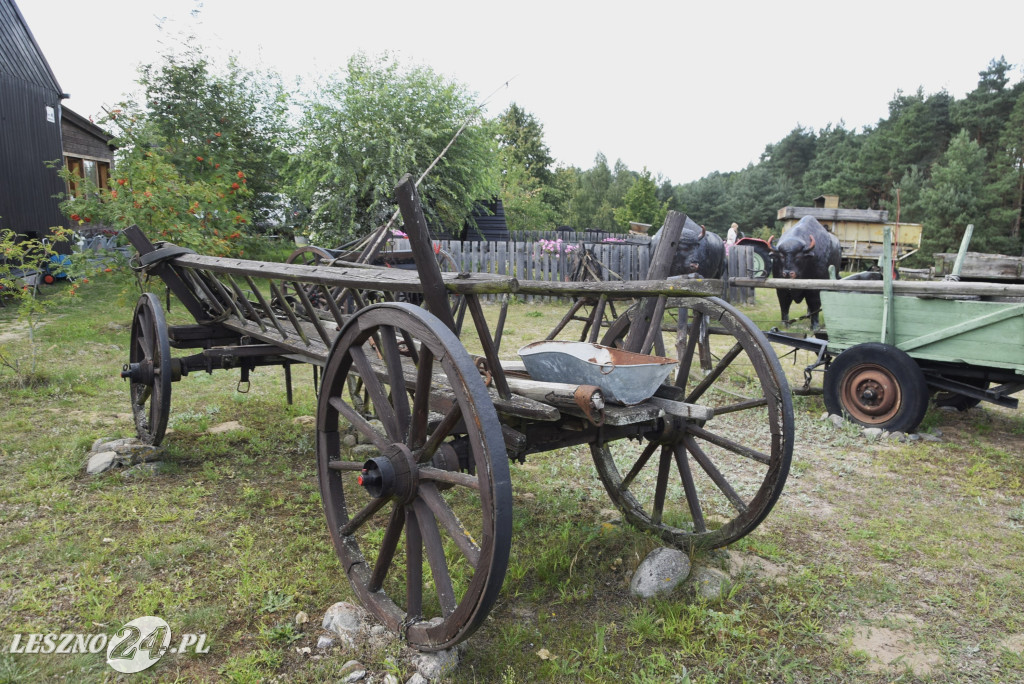 Muzeum Młynarstwa i Rolnictwa w Osiecznej