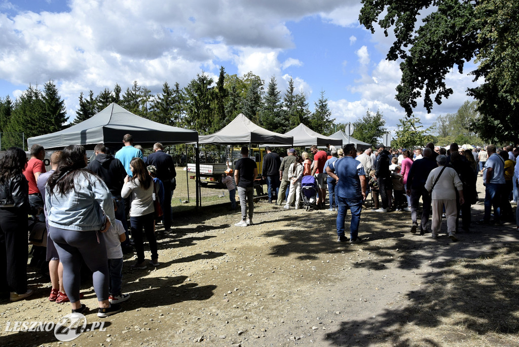 Festiwal starych ciągników w Wilkowicach (dzień 2)