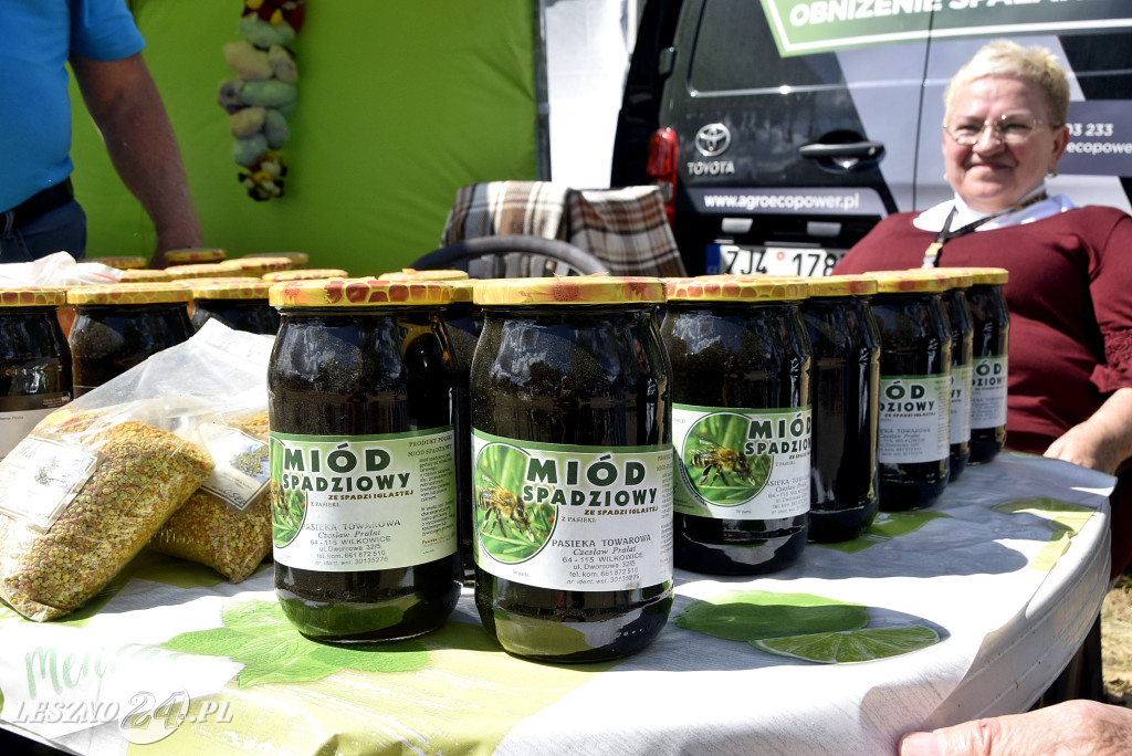 Festiwal starych ciągników w Wilkowicach (dzień 2)