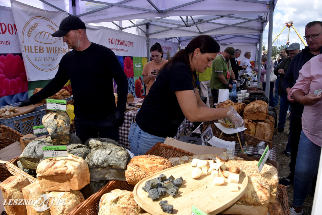 Festiwal starych ciągników w Wilkowicach (dzień 2)