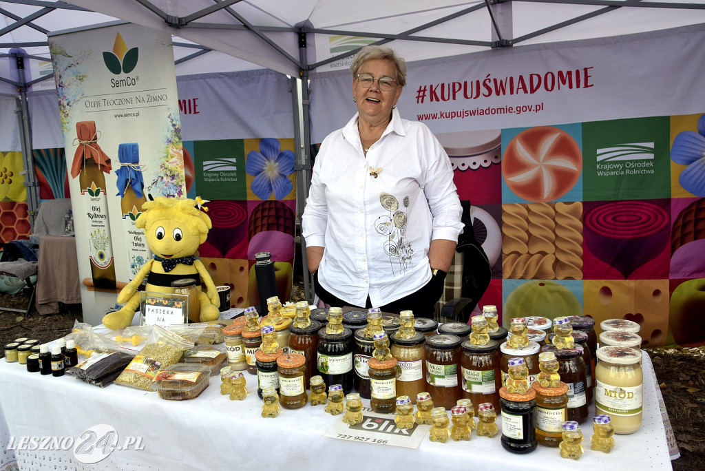 Festiwal starych ciągników w Wilkowicach (dzień 2)