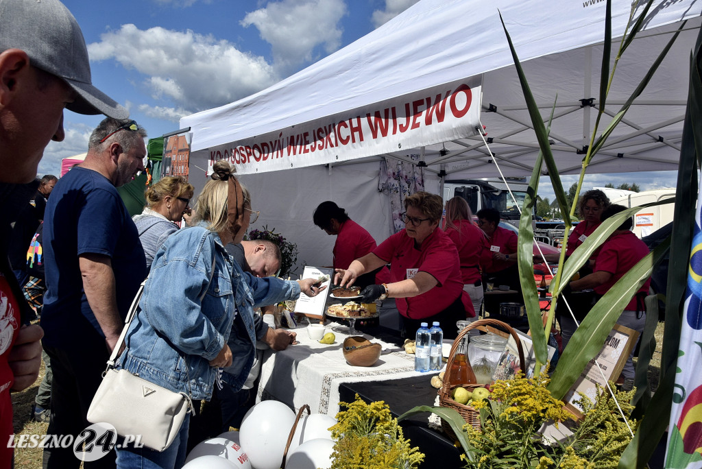 Festiwal starych ciągników w Wilkowicach (dzień 2)